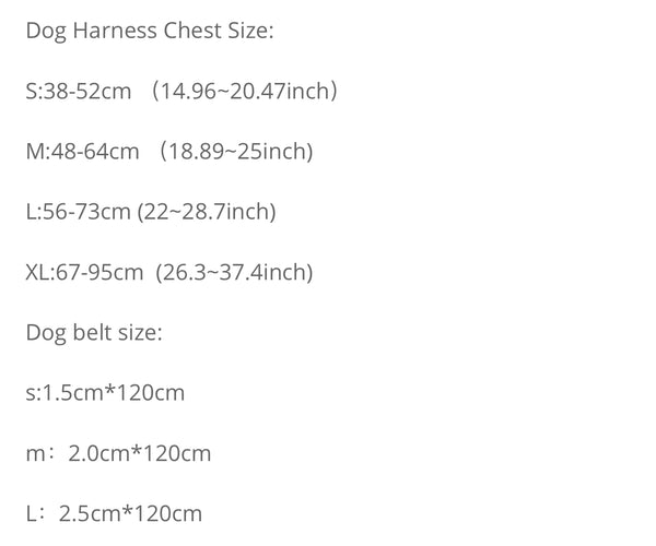 Dog Harness and Leash Set