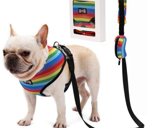 Rainbow Dog Harness