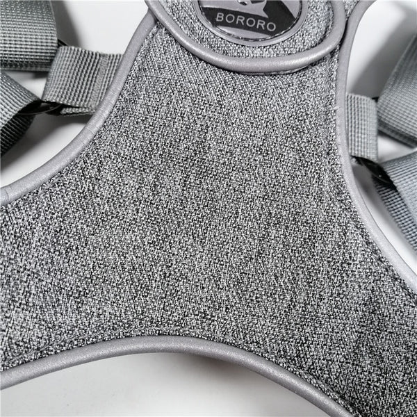 Reflective Dog Harness and Leash Set