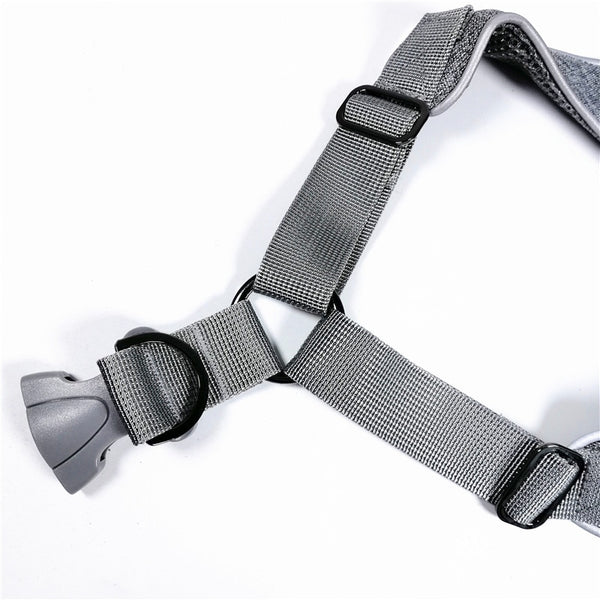 Reflective Dog Harness and Leash Set