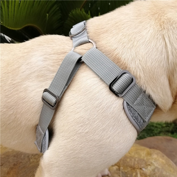 Reflective Dog Harness and Leash Set
