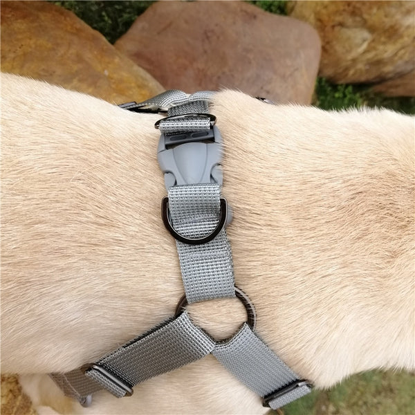 Reflective Dog Harness and Leash Set