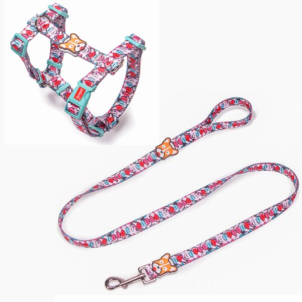 Strap Dog Harness and Leash Set
