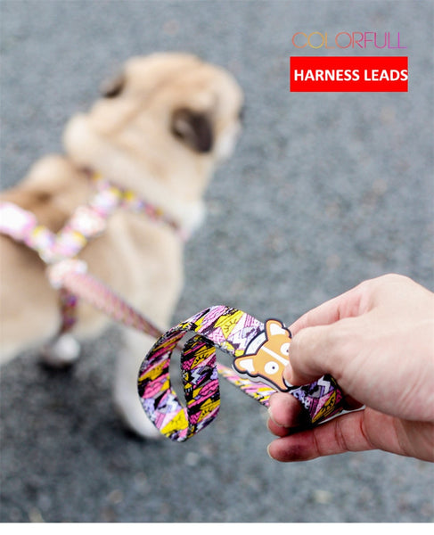 Strap Dog Harness and Leash Set