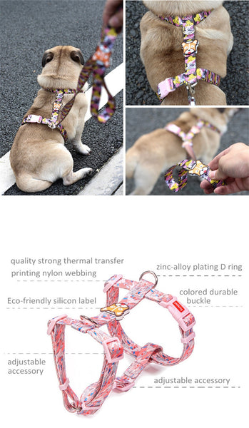 Strap Dog Harness and Leash Set