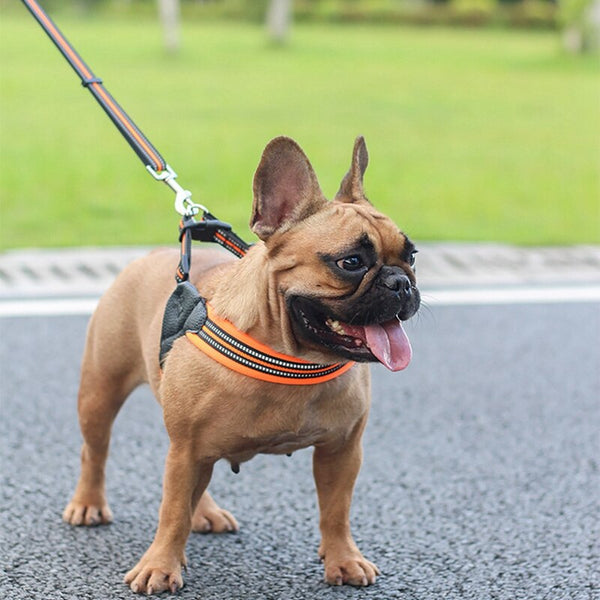 Reflective Dog Harness