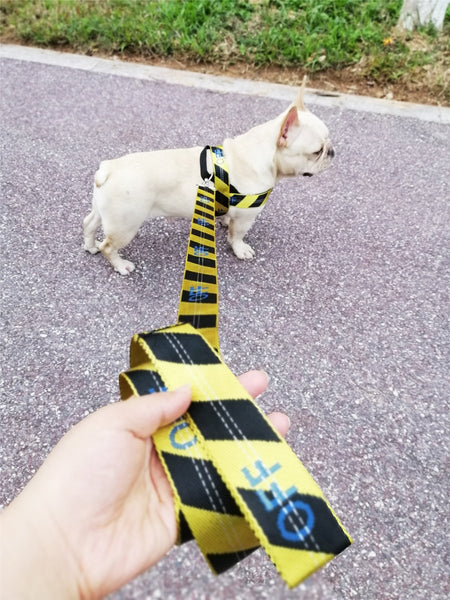 Strap Dog Harness