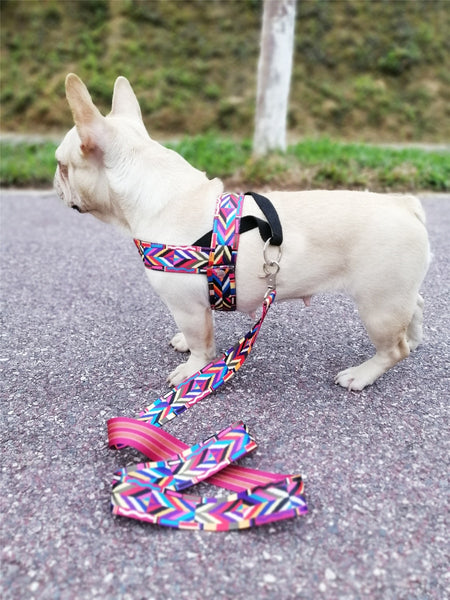 Strap Dog Harness