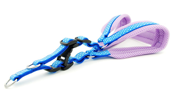 Polka Dot Dog Strap Harness and Leash Set
