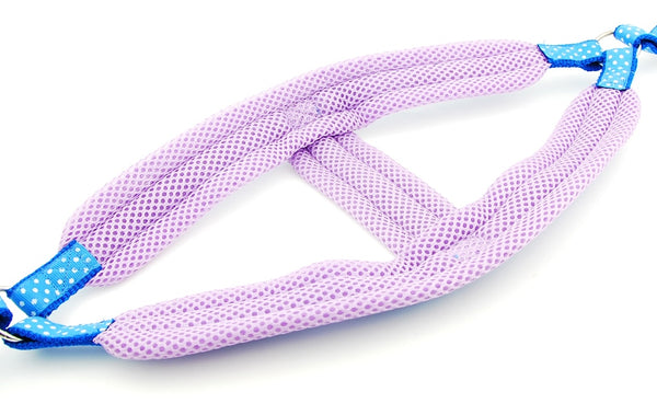 Polka Dot Dog Strap Harness and Leash Set