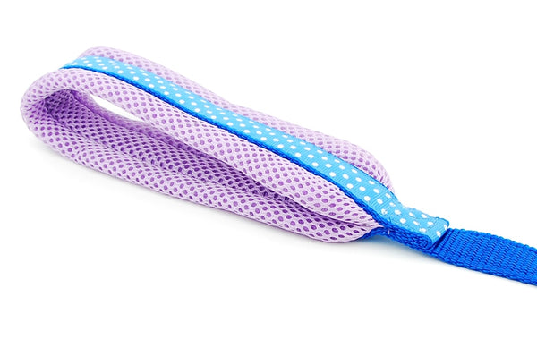 Polka Dot Dog Strap Harness and Leash Set