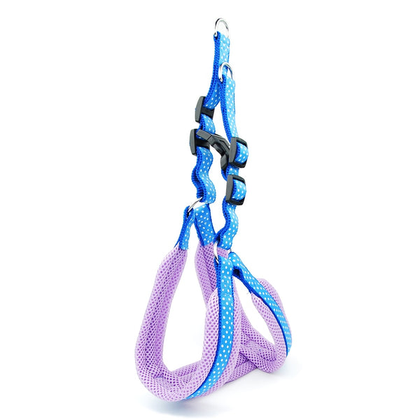Polka Dot Dog Strap Harness and Leash Set