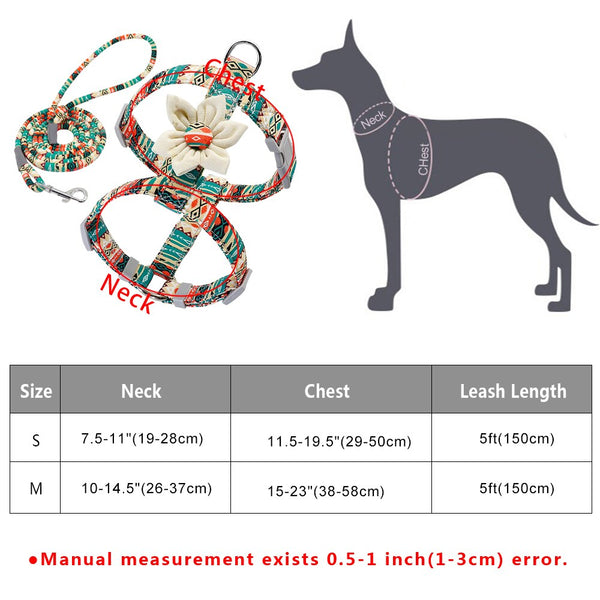 Dog Strap Harness and Leash Set