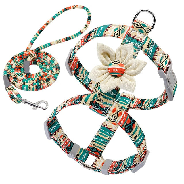 Dog Strap Harness and Leash Set