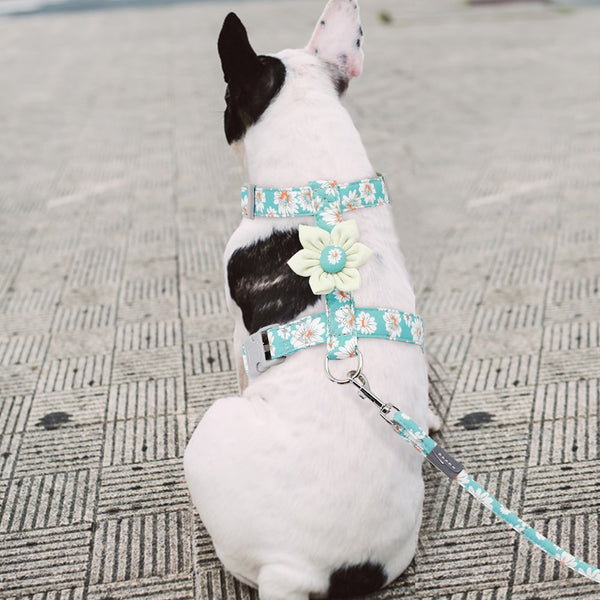 Dog Strap Harness and Leash Set