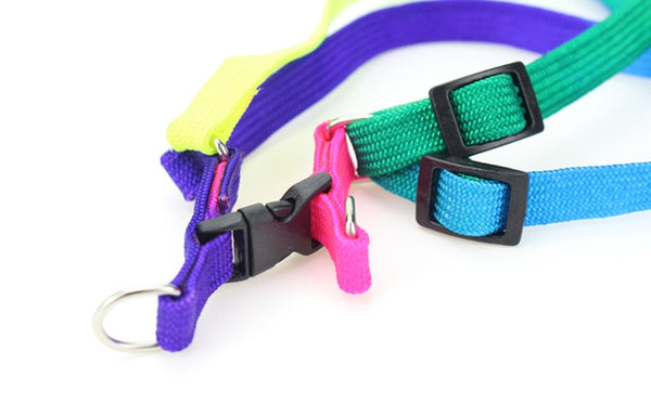 Colorful Rainbow Dog Strap Harness and Leash Set