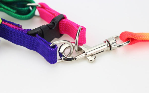 Colorful Rainbow Dog Strap Harness and Leash Set