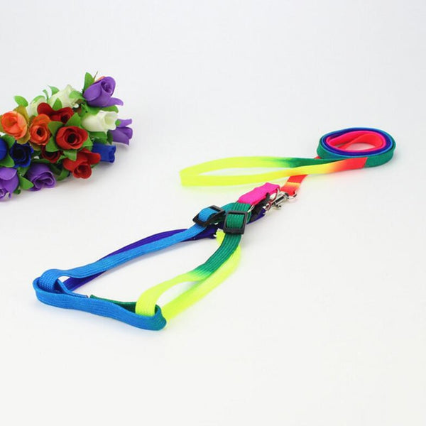 Colorful Rainbow Dog Strap Harness and Leash Set