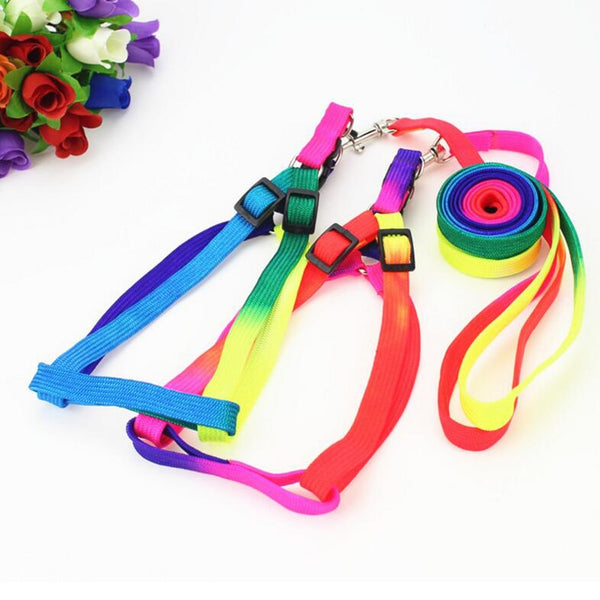 Colorful Rainbow Dog Strap Harness and Leash Set