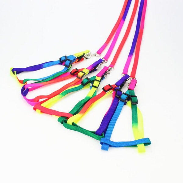 Colorful Rainbow Dog Strap Harness and Leash Set