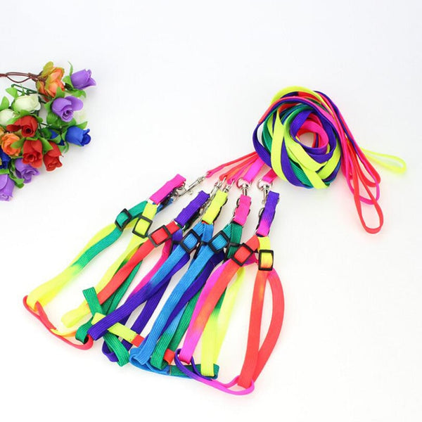 Colorful Rainbow Dog Strap Harness and Leash Set