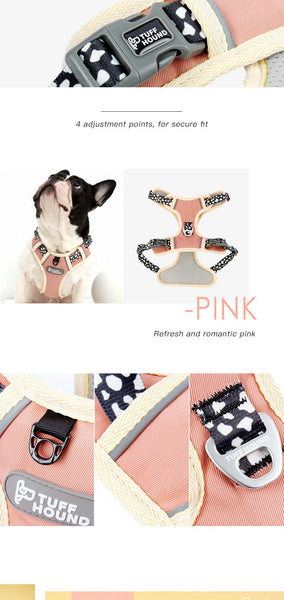 Dog Harness and Leash Set
