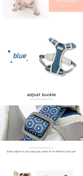 Dog Harness and Leash Set