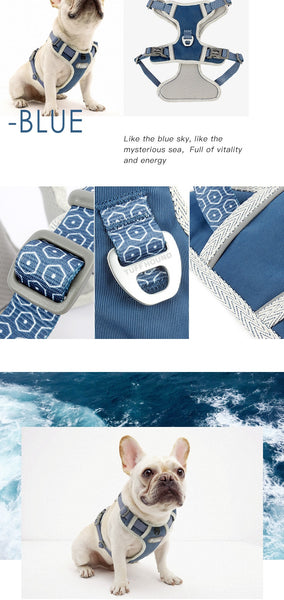 Dog Harness and Leash Set