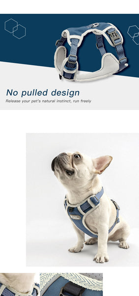 Dog Harness and Leash Set
