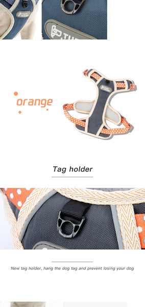 Dog Harness and Leash Set