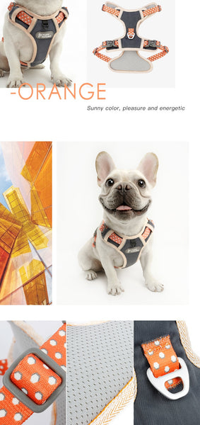 Dog Harness and Leash Set