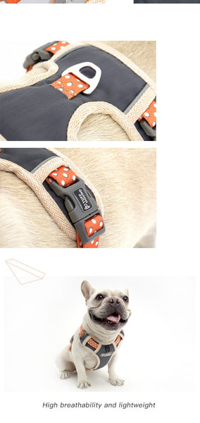 Dog Harness and Leash Set