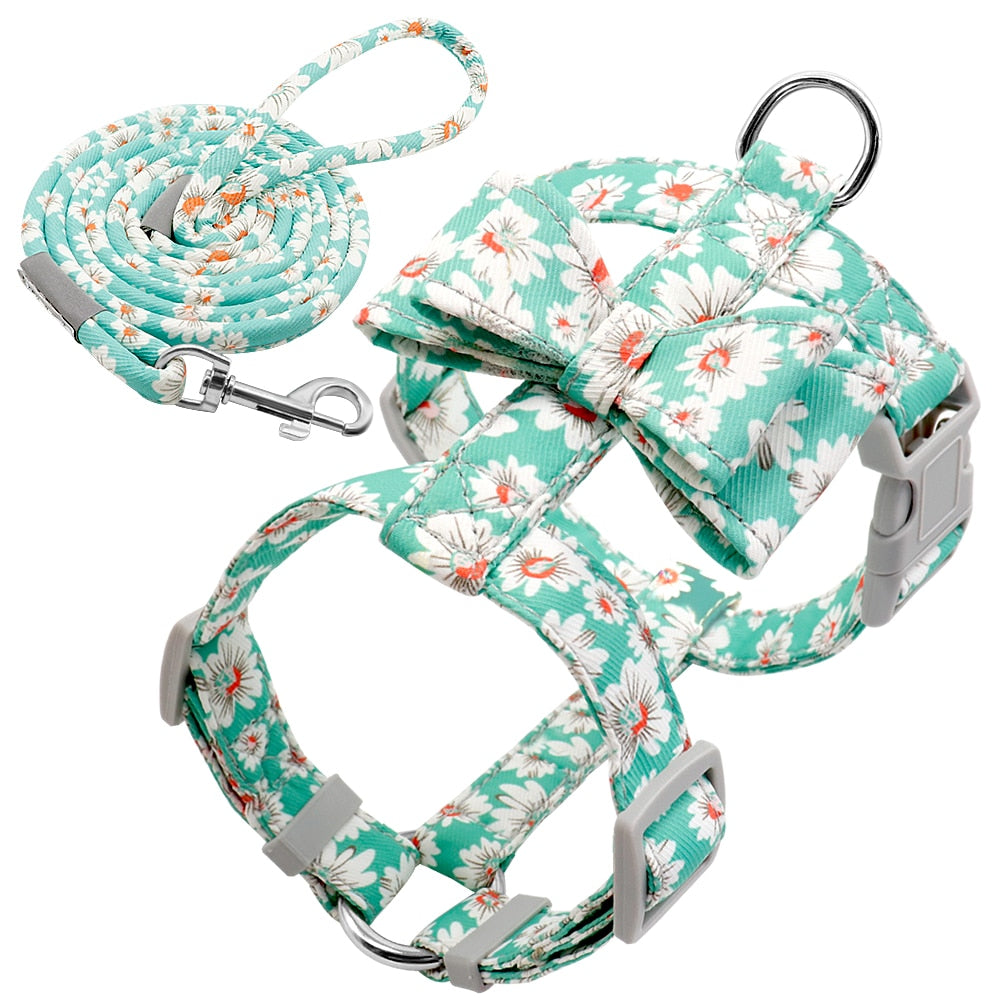 Adjustable Strap Dog Harness and Leash Set