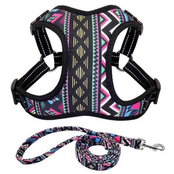 Reflective Dog Harness and Leash Set