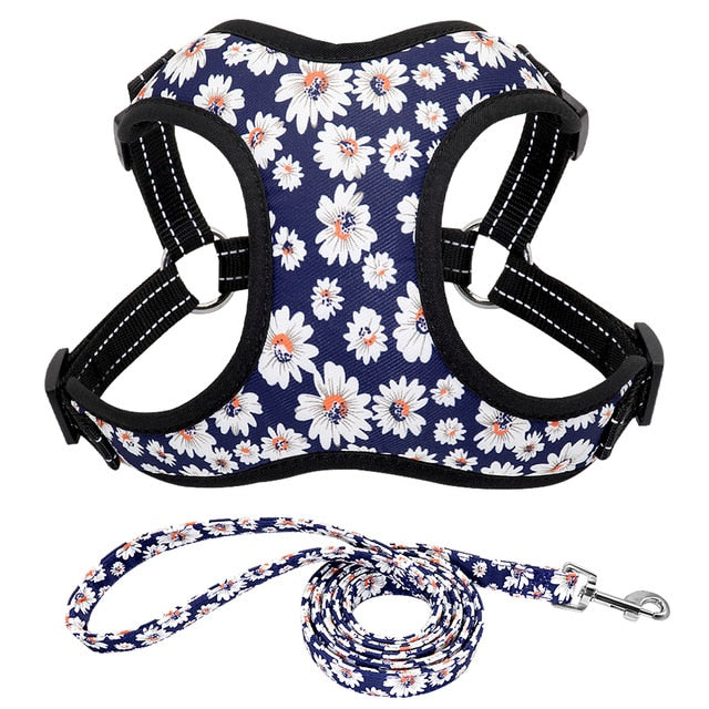 Reflective Dog Harness and Leash Set