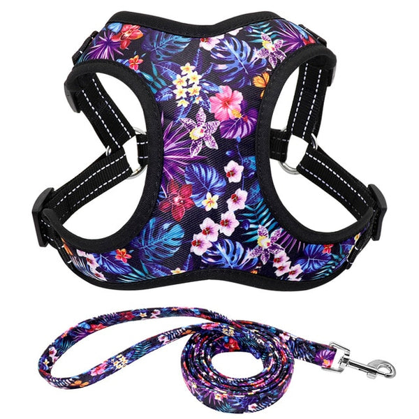 Reflective Dog Harness and Leash Set