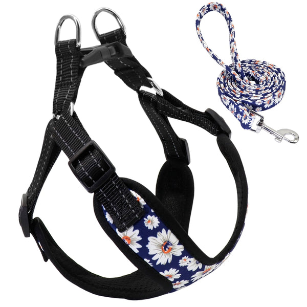 Reflective Dog Harness and Leash Set