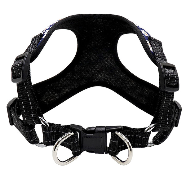 Reflective Dog Harness and Leash Set