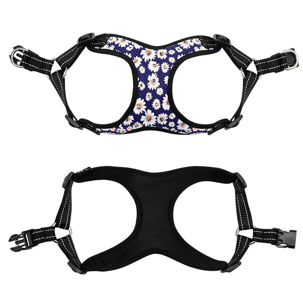 Reflective Dog Harness and Leash Set