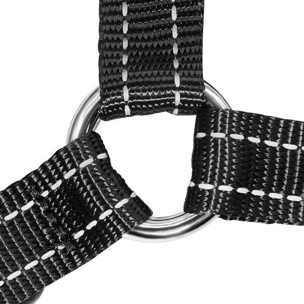 Reflective Dog Harness and Leash Set