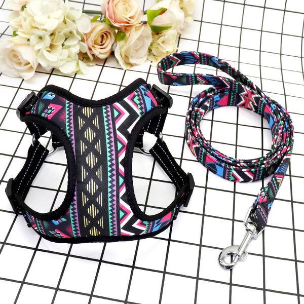 Reflective Dog Harness and Leash Set