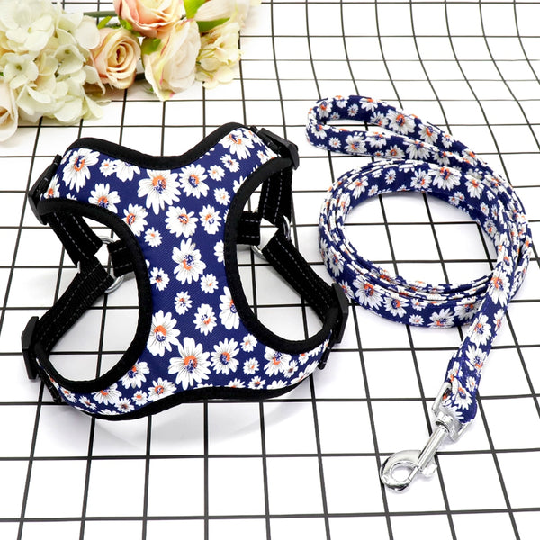Reflective Dog Harness and Leash Set