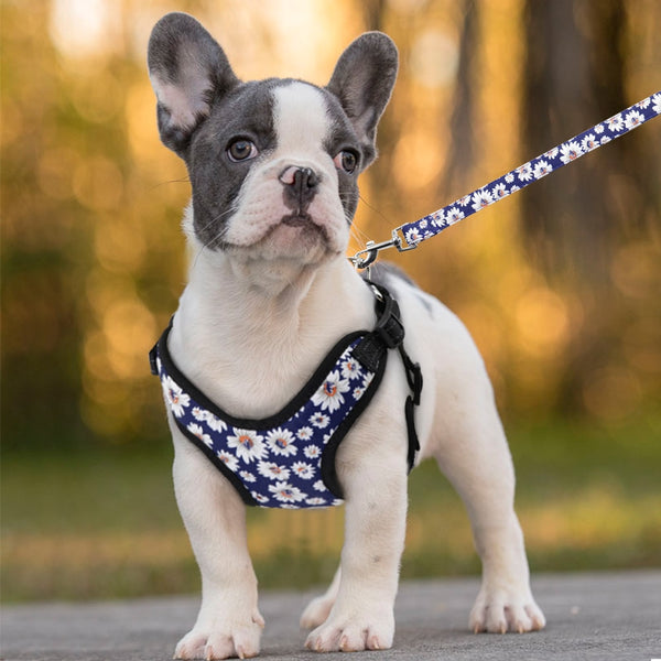 Reflective Dog Harness and Leash Set