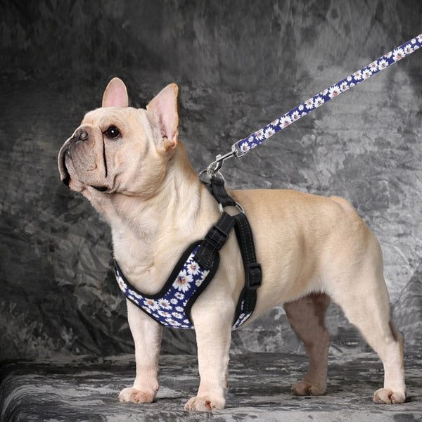 Reflective Dog Harness and Leash Set