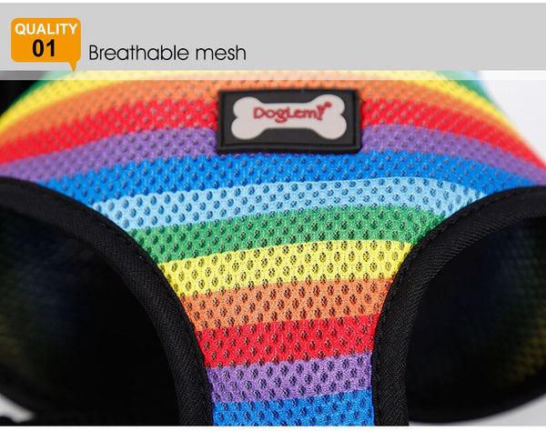 Rainbow Dog Harness