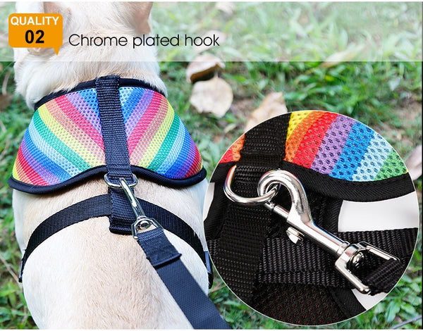 Rainbow Dog Harness