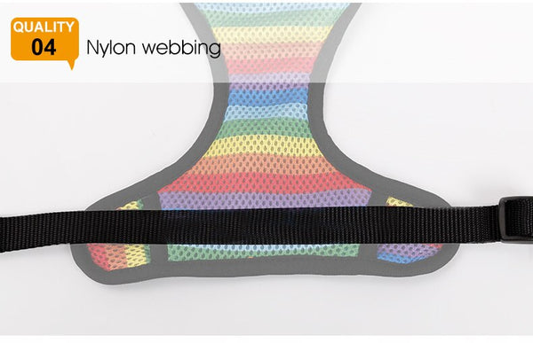Rainbow Dog Harness