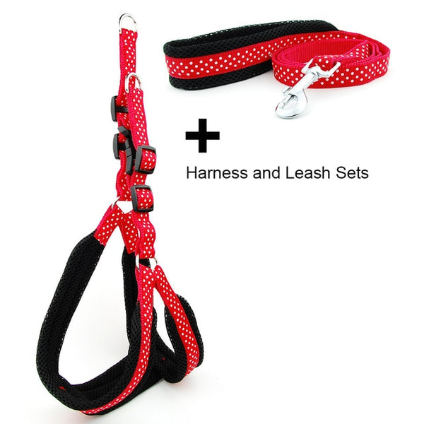 Polka Dot Dog Strap Harness and Leash Set