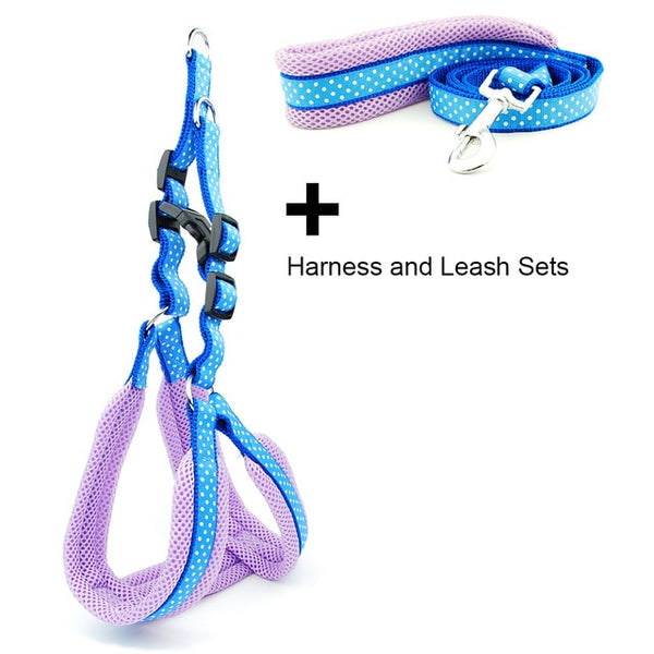 Polka Dot Dog Strap Harness and Leash Set