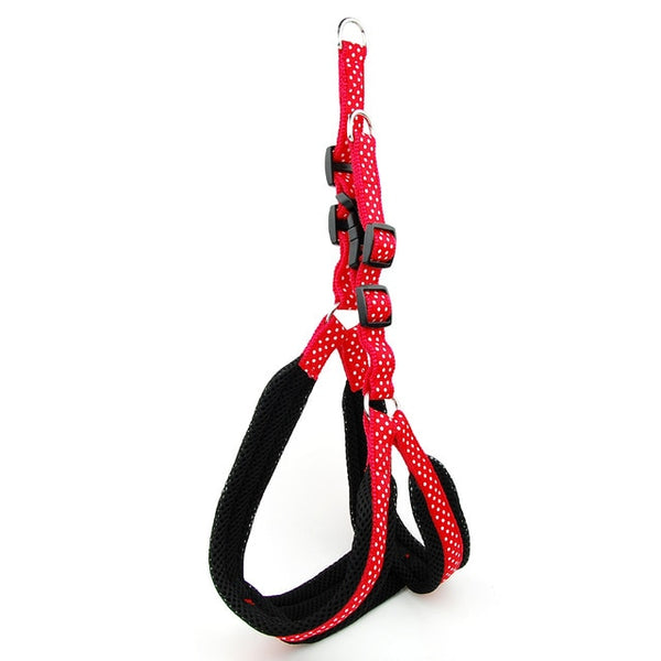 Polka Dot Dog Strap Harness and Leash Set